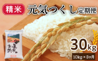 [1週間以内発送]元気つくし 30kg(精米) 定期便 計三回 米 お米 ゴハン メシ 飯 夕ご飯 美味しいご飯 福岡 川崎