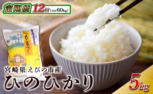【年間定期便】えびの産 ひのひかり 5kg×12ヶ月 合計 60kg 米 定期便 お米 おにぎり お弁当 TKG ヒノヒカリ 九州 宮崎県 特選米 冷めても美味しい 送料無料 1523177 - 宮崎県えびの市