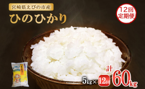 【年間定期便】 えびの産 ひのひかり 5kg×12ヶ月 合計 60kg 米 定期便 お米 おにぎり お弁当 TKG ヒノヒカリ 九州 宮崎県 特選米 冷めても美味しい 送料無料 1523177 - 宮崎県えびの市