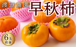 配送時期：2025年9月下旬から10月上旬 出荷予定(配送時期は、気候等により変動する場合がございます。)栽培期間中、減農薬・除草剤不使用で栽培を行っています。土壌分析を行いミネラルを配合した土づくり