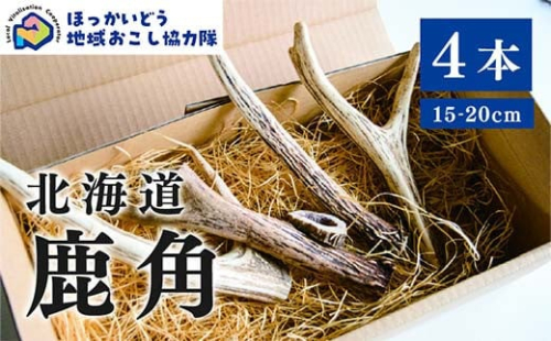 北海道湧別町産 鹿角（15～20cm） 4本 地域おこし協力隊関連返礼品 F6S-224 1523422 - 北海道北海道庁