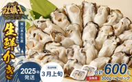 【 2025年3月上旬発送 】岡山県日生産 生鮮かき（むき身）加熱用 600g（300ｇ×2パック）【 全国牡蠣-1グランプリ豊洲2024 加熱部門初代グランプリ受賞！ 生鮮 牡蠣 600g 生鮮牡蠣 むき身 プリプリした食感  一年牡蠣】