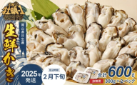 【 2025年2月下旬発送 】岡山県日生産 生鮮かき（むき身）加熱用 600g（300ｇ×2パック）【 全国牡蠣-1グランプリ豊洲2024 加熱部門初代グランプリ受賞！ 生鮮 牡蠣 600g 生鮮牡蠣 むき身 プリプリした食感  一年牡蠣】