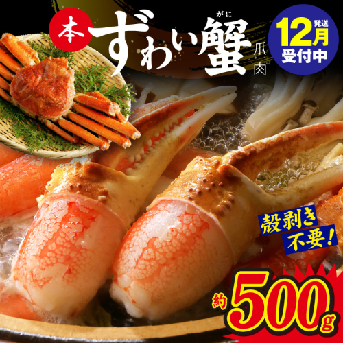 【年内発送】本ずわいがに 爪肉 約500g 加熱用 kgp0003y 1523603 - 大阪府泉佐野市