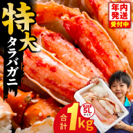 【年内発送】ボイルタラバガニ 1kg 特大 5Lサイズ カット済み【ボイル カニ かに 1kg 訳あり 部位 サイズ不揃い 蟹 たらば蟹 タラバ蟹 タラバカニ 海鮮 魚介 圧倒的企業努力】 G1783-1y
