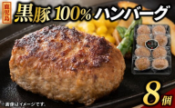 黒豚100%ハンバーグ 80g×8個(A13023-01)