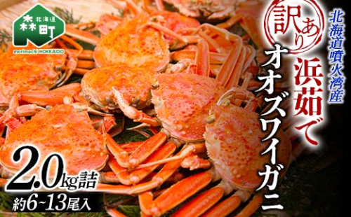 【訳あり】浜茹でオオズワイガニ 2.0kg 詰め込みセット 北海道噴火湾産 ＜道産ネットミツハシ＞ かに カニ 蟹 がに 北海道 森町 ふるさと納税 mr1-0736 1523750 - 北海道森町