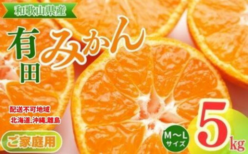 【ご家庭用】和歌山有田みかん約5kg(M、Lサイズ)【美浜町】〇 ※北海道・沖縄・離島への配送不可 ※2025年11月上旬～2026年1月下旬頃に順次発送予定 152383 - 和歌山県美浜町