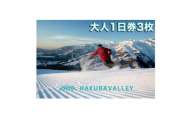 HAKUBA VALLEY 10 スキー場共通リフト券＜大人1日券3枚＞【1560076】