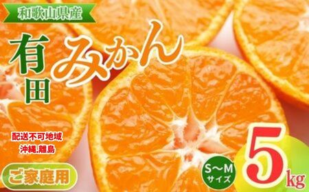 【ご家庭用】和歌山有田みかん約5kg(S、Mサイズ)〇 ｜ みかん 有田みかん 温州みかん ミカン 温州ミカン 柑橘 果物 フルーツ 甘い 先行予約 s m 甘い 5kg ※2025年11月上旬～2026年1月下旬頃に順次発送予定 152384 - 和歌山県美浜町