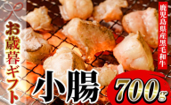 [令和6年お歳暮対応]鹿児島県産 黒毛和牛 小腸 ホルモン 700g 冷凍 国産 鹿児島県産 黒毛和牛 小腸 モツ 生ホルモン 生冷凍ホルモン お取り寄せ 焼肉 もつ鍋 にも オススメ[SA-253H]