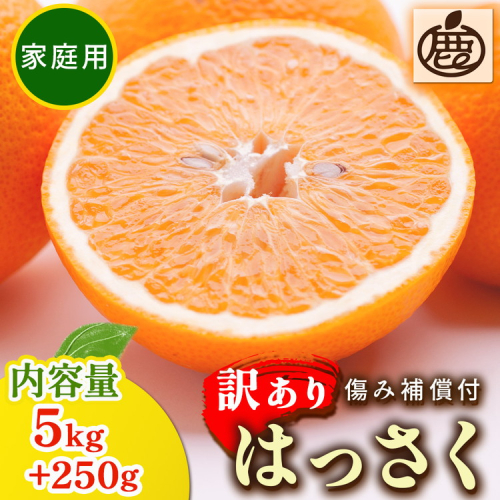 ＜1月より発送＞家庭用 はっさく5kg+250g（傷み補償分） ｜ 八朔みかん わけあり ※2026年1月上旬～3月下旬頃に順次発送予定 ※北海道・沖縄・離島への配送不可 152389 - 和歌山県美浜町