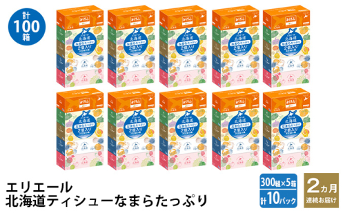 2ヵ月連続お届け 計100箱 エリエール 北海道 ティシュー なまらたっぷり 300組5箱 10パック 大容量 まとめ買い 防災 常備品 備蓄品 消耗品 日用品 生活必需品 送料無料 赤平市 1523985 - 北海道赤平市