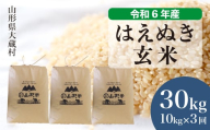 令和6年産 大蔵村 はえぬき [玄米] 30kg 定期便(1か月間隔で3回お届け)[配送時期が選べて便利]