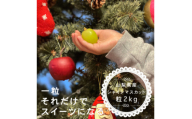 ふゆのシャインマスカット 粒 (2kg以上) 山梨産 2024年発送※11月上旬頃～12月下旬頃【1560612】