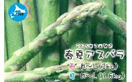 【2025年春夏発送】北海道上ノ国町産 朝採り当日発送 刀祢農園の春アスパラM～L（2㎏）と夏アスパラM～L（1.8㎏）の２回お届け