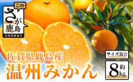 佐賀県鹿島産 温州みかん(サイズ混合 ) 約8kg
