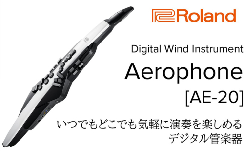 【Roland】電子管楽器/Aerophone AE-20【配送不可：離島】 雑貨 日用品  1524352 - 静岡県浜松市