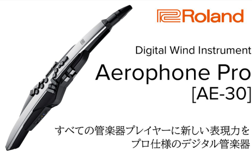 【Roland】電子管楽器/Aerophone Pro AE-30【配送不可：離島】 1524354 - 静岡県浜松市