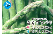 【2025年春夏発送】北海道上ノ国町産 朝採り当日発送 刀祢農園の春アスパラ2L以上（800g）と夏アスパラ2L以上（800g）の２回お届け