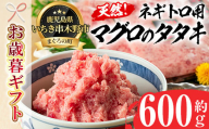 [令和6年お歳暮対応]ネギトロ用 マグロ の タタキ 600g( 約200g×3袋)冷凍 いちき串木野市 小分け キハダマグロ・メバチマグロ 使用 マグロのたたき 自宅で ねぎとろ丼 鮪 ネギトロ ハンバーグにも! マグロ たたき まぐろ 赤身 まぐろ 小分け ふわっとした食感のまぐろ ネギトロ おさかなコーディネータもおすすめの マグロ たたき [海鮮まぐろ家] [SA-224H]