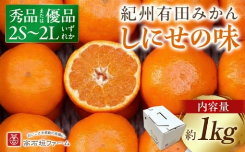 有田みかん しにせの味 約1kg 2S～2Lのいずれか 秀品または優品 1524481 - 和歌山県有田川町