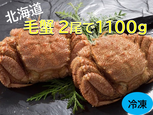 活ゆで毛蟹（2尾×500～600ｇ）計1100g【冷凍】 1524528 - 北海道池田町