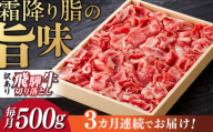 【3回定期便】 飛騨牛 切り落とし 500g 等級 部位お任せ 化粧箱入り すき焼き 鍋 スライス 牛肉 岐阜市 / だるまミート [ANBE014]