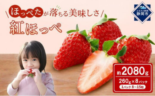 いちご 紅ほっぺ  8パック  果物 イチゴ 苺 国産 ギフト 贈答品 お祝い プレゼント フルーツ くだもの◆ 1524606 - 静岡県静岡市