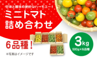 甘味と酸味の絶妙なハーモニー! ミニトマト 詰め合わせ  3kg（500g×6品種）/ ふるさと納税 やさい 野菜 とまと トマト ミニトマト 赤 黄 緑 茶色 カラフル 詰め合わせ 千葉県山武市 SMCA001