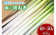 [期間限定発送]野菜 南三陸ねぎ 40〜50本 5kg前後 [グリーンファーマーズ・宮城 宮城県 南三陸町 30be0001] ねぎ 長ネギ 長ねぎ 期間限定