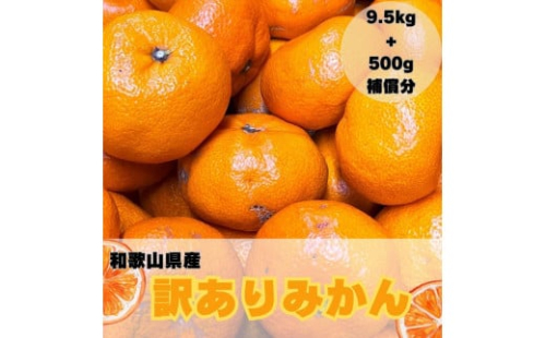 【訳あり】和歌山みかん 約9.5kg+補償分約500g サイズ混合 11月より順次発送 訳ありみかん 【red1】 1524732 - 和歌山県那智勝浦町