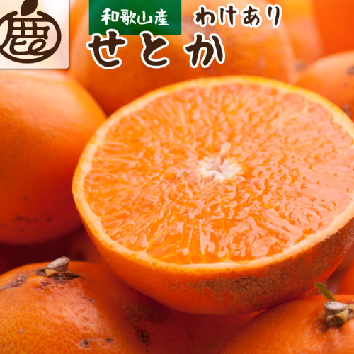 ＜2月より発送＞家庭用 せとか2.5kg+75g（傷み補償分）【柑橘・春みかんの王様】【わけあり・訳あり】【光センサー選果・食べ頃出荷】※北海道・沖縄・離島への配送不可※2025年2月中旬～3月下旬頃に順次発送予定 152480 - 和歌山県美浜町