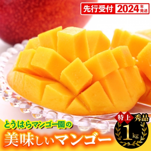 【2023年発送】とうはらマンゴー園の美味しいマンゴー秀品（特上）約1kg 152493 - 沖縄県八重瀬町