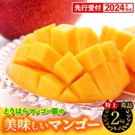 【2022年発送】とうはらマンゴー園の美味しいマンゴー秀品（特上）約2kg