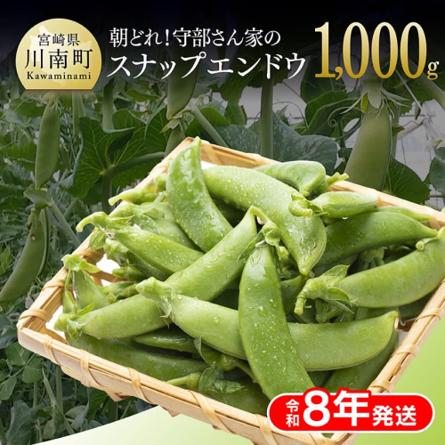 【令和8年発送】朝どれ！守部さん家のスナップエンドウ1.0kg 【 野菜 宮崎県産 エンドウ豆 えんどう豆 おつまみ 2026年発送 】 152510 - 宮崎県川南町