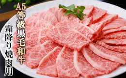 鹿児島県産最高ランクの黒毛和牛霜降り肩ロース焼肉用をお届け致します。味わい深い旨味、黒毛和牛ならではの甘味をお楽しみください。【地場産品類型 4号】市内にて肥育された牛であるため