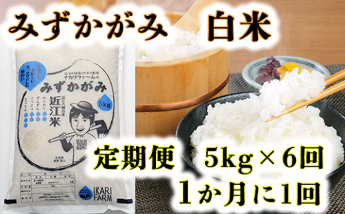 【新米】【7年産】みずかがみ　白米定期便　６か月で５kgを６回お届け（１か月に1回）【C036U2】 152581 - 滋賀県近江八幡市