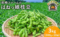 【先行予約】【数量限定】はねっ娘枝豆 3kg（300g×10袋）【有限会社岩崎ファーム】 [AKCZ002]