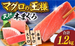 マグロのプロ「本まぐろ直売所」が自信を持っておススメするギフトグレードの天然本まぐろ。マグロの中でも最上級の極上の天然本まぐろを味わう刺身用柵です。良質な脂やキメの細かい肉質、口の中に広がる風味は天然