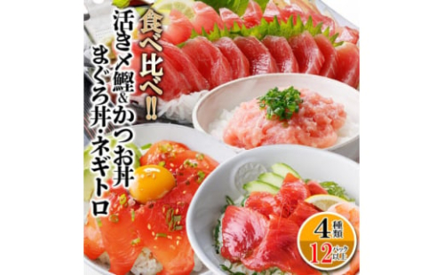 枕崎ぶえん鰹800g & 漬け丼3種9袋(かつお・まぐろ・ネギトロ) A6-140_ 鰹 かつお まぐろ 鮪 ネギトロ 鹿児島県 枕崎 漬け丼 ぶえん鰹 人気 おすすめ 送料無料 贈答 ギフト 【1166317】