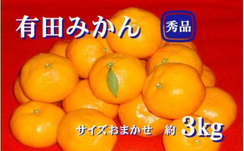 紀州有田みかん 秀品 ３kg（L・M・Sサイズおまかせ）　※2025年11月下旬～2026年1月中旬頃発送予定  / みかん ミカン フルーツ 果物 くだもの 柑橘 和歌山 【sml128A】