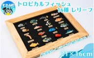 トロピカルフィッシュ16種　レリーフ  /  魚 さかな フィッシュ 釣り 海 うみ クマノミ 海水魚 海の生き物 鍵 かぎ 家 車 自転車 かわいい お土産 雑貨 思い出 プレゼント ギフト すさみ 【mac008】