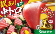 【全3回定期便】【訳あり】天然 まぐろ 中トロ（約1kg）マグロ 定期 鮪 まぐろ 中とろ 刺身  定期便【横須賀商工会議所 おもてなしギフト事務局（本まぐろ直売所）】 [AKAK050]