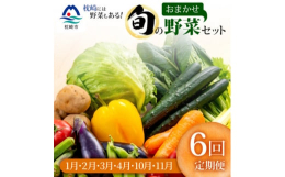 発送月固定の定期便です。日本の最南端の終着駅がある枕崎。農家さんたちが、大事に育てた元気いっぱいの野菜たちを年6回季節ごとに旬のお野菜お届けいたします。枕崎市・南薩地域の旬の野菜と定番野菜を定期便にし
