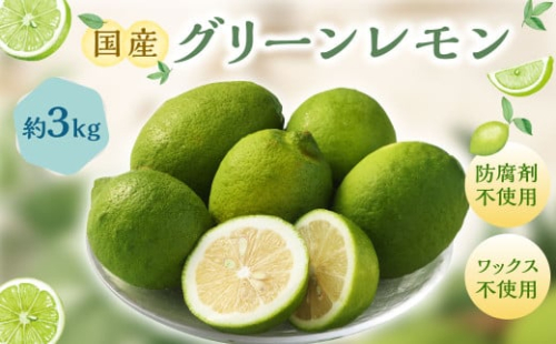 国産グリーンレモン 3kg【2026年10月上旬-11月下旬まで順次発送予定】｜  フルーツ 果物 柑橘 グリーンレモン レモン れもん 檸檬 国産 静岡県 菊川市 1530197 - 静岡県菊川市