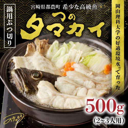 都農町産「つのタマカイ(鍋用・ぶつ切り)2～3人前」計500g 魚 魚介 養殖 希少 国産_T012-001
 1530289 - 宮崎県都農町