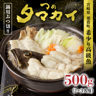 都農町産「つのタマカイ(鍋用・ぶつ切り)2～3人前」計500g 魚 魚介 養殖 希少 国産_T012-001