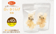 訳あり きくらげ 乾燥 白いきくらげ 20g 2袋 計 40g [きくらげ堂 日向店 宮崎県 日向市 452061064] 国産 キクラゲ 木耳 白