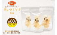 訳あり きくらげ 乾燥 白いきくらげ 20g 3袋 計 60g [きくらげ堂 日向店 宮崎県 日向市 452061063] 国産 キクラゲ 木耳 白